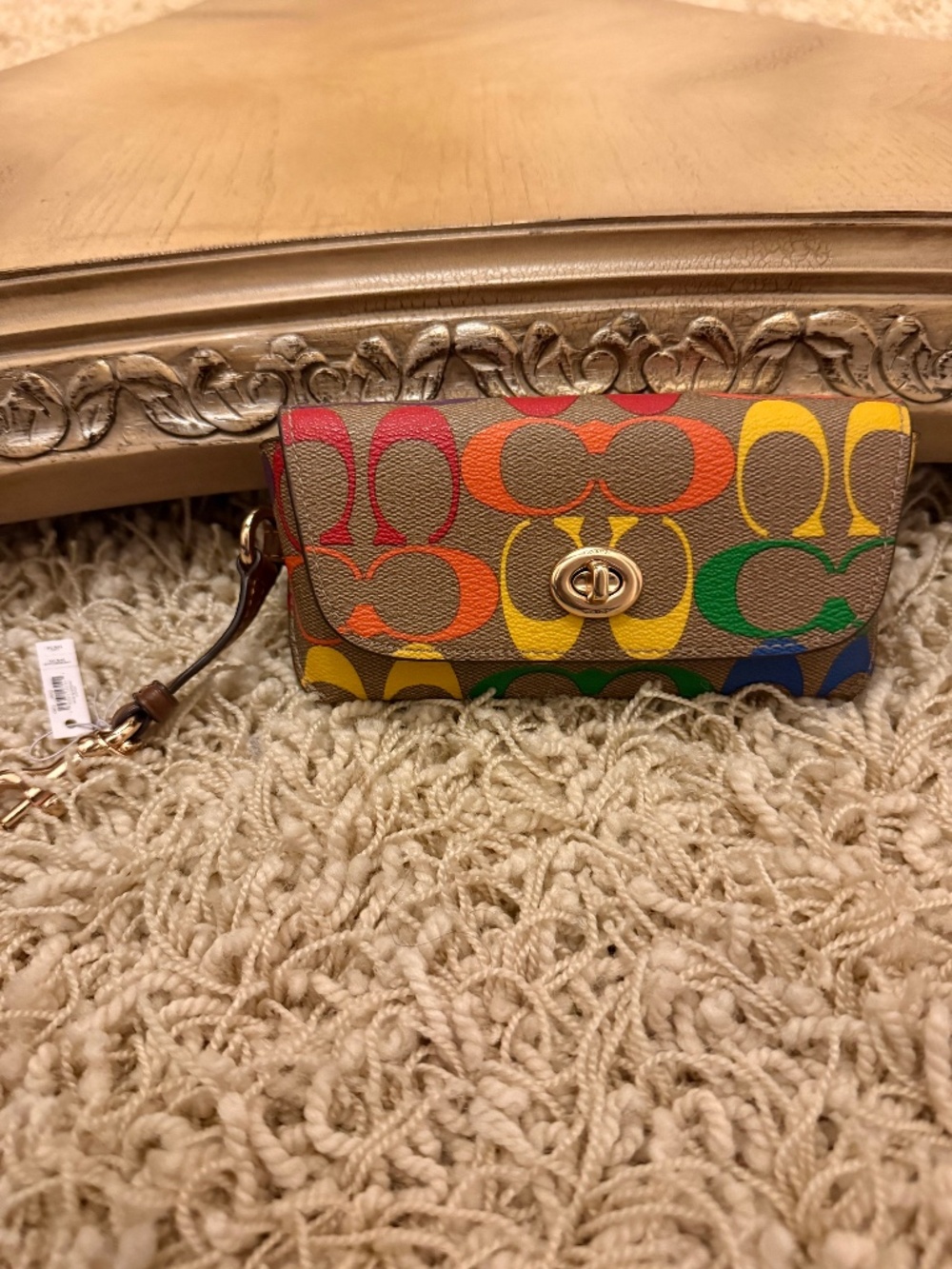 COACH Signature C Sunglass Case In Rainbow Signature Canvas NWT